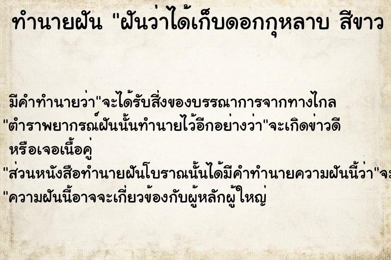 ทำนายฝัน ฝันว่าได้เก็บดอกกุหลาบ สีขาว สีแดง จำนวนมาก ทำนายฝัน ฝันว่าได้เก็บดอกกุหลาบ สีขาว สีแดง จำนวนมาก